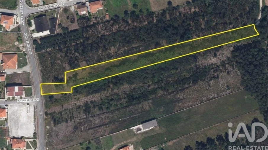 Terreno para Venda em Fonte de Angeão e Covão do Lobo Foto 3