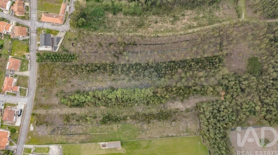 Terreno para Venda em Fonte de Angeão e Covão do Lobo Foto 4