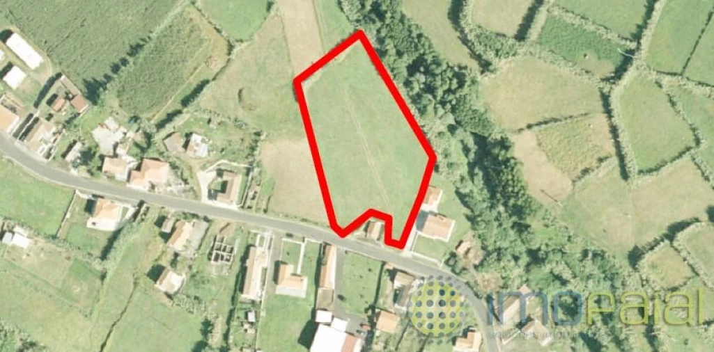 Terreno para Venda em Castelo Branco Foto 9