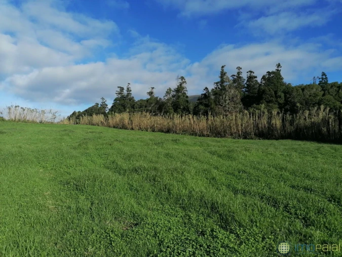 Terreno para Venda em Castelo Branco Foto 4
