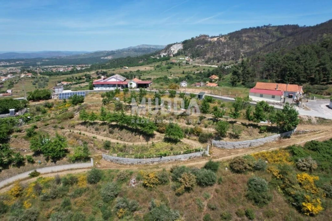 Terreno para Venda em Faiões Foto 4