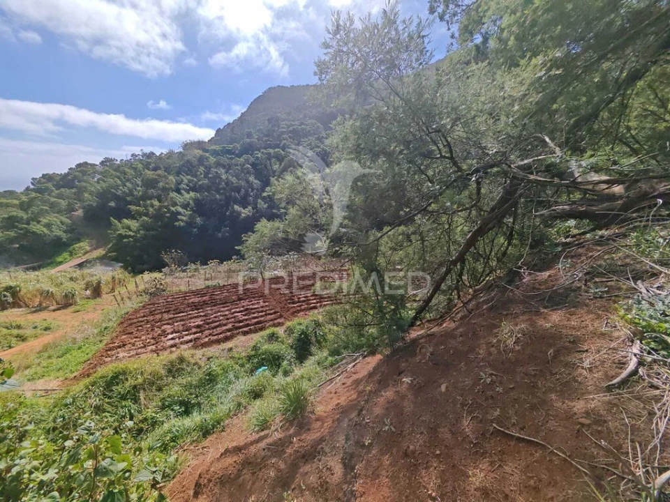 Terreno para Venda em Caniçal Foto 11