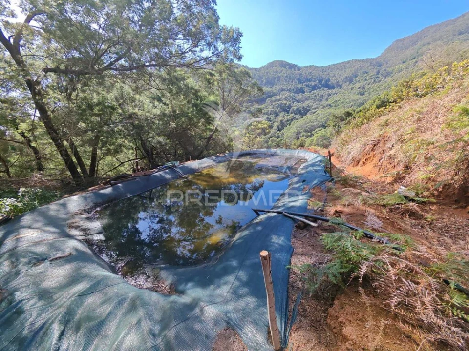 Terreno para Venda em Caniçal Foto 12