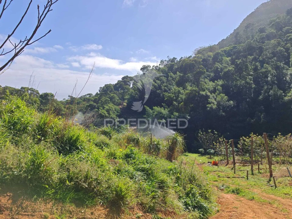 Terreno para Venda em Caniçal Foto 16