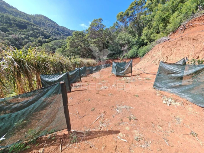 Terreno para Venda em Caniçal Foto 20