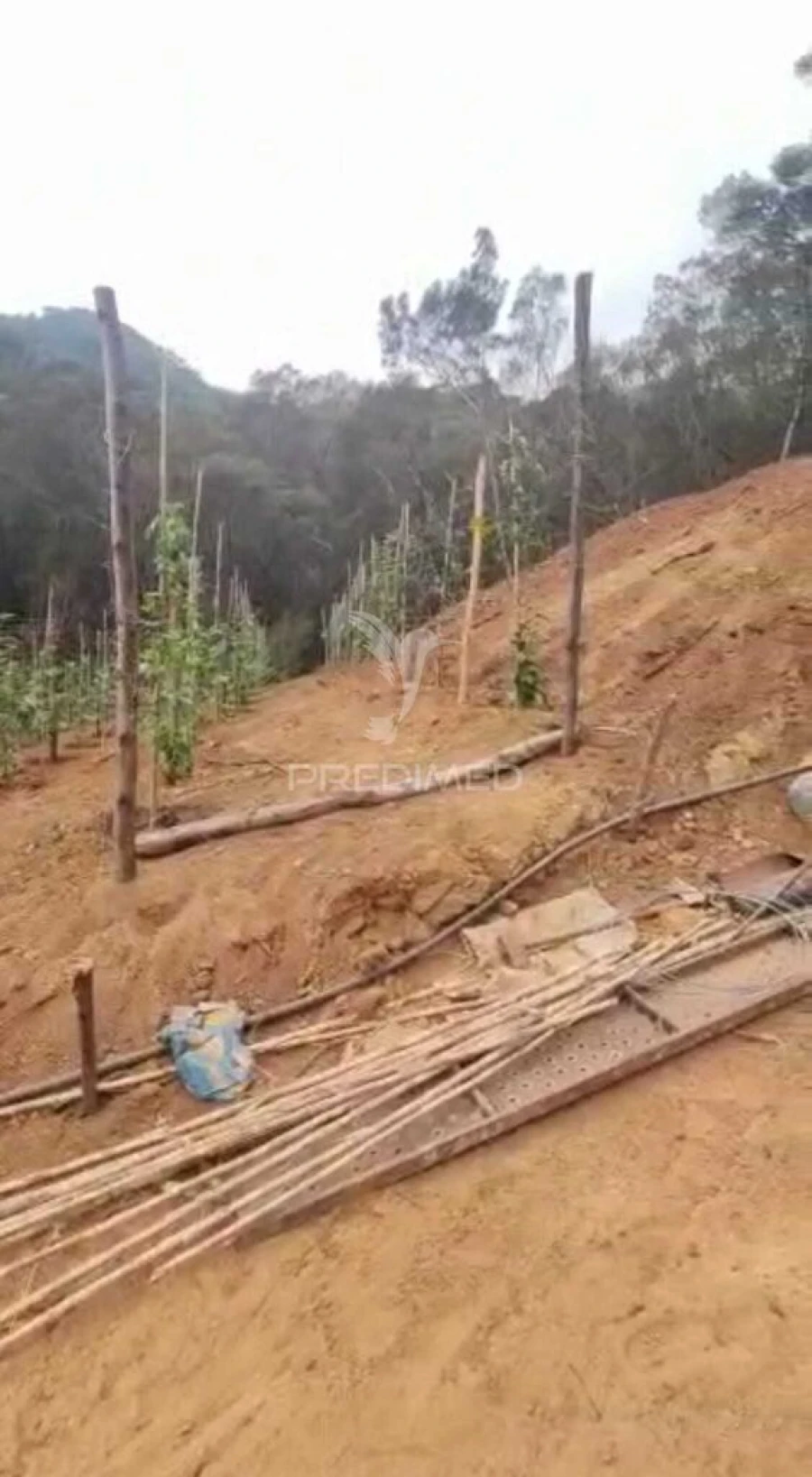 Terreno para Venda em Caniçal Foto 4