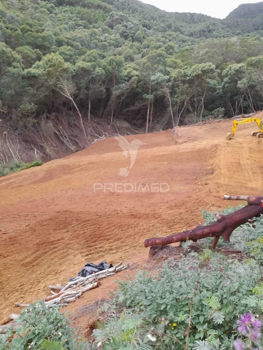 Terreno para Venda em Caniçal Foto 14