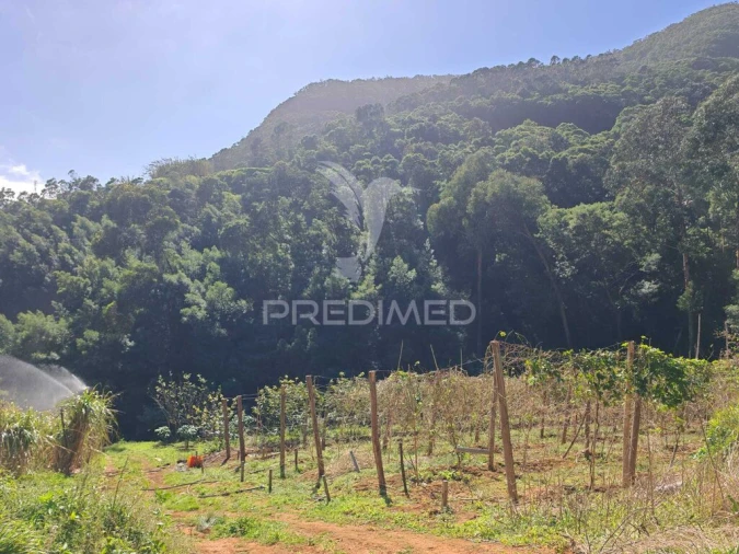 Terreno para Venda em Caniçal Foto 18