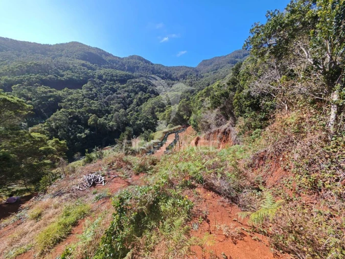 Terreno para Venda em Caniçal Foto 10