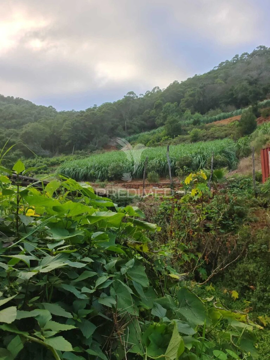 Terreno para Venda em Caniçal Foto 1