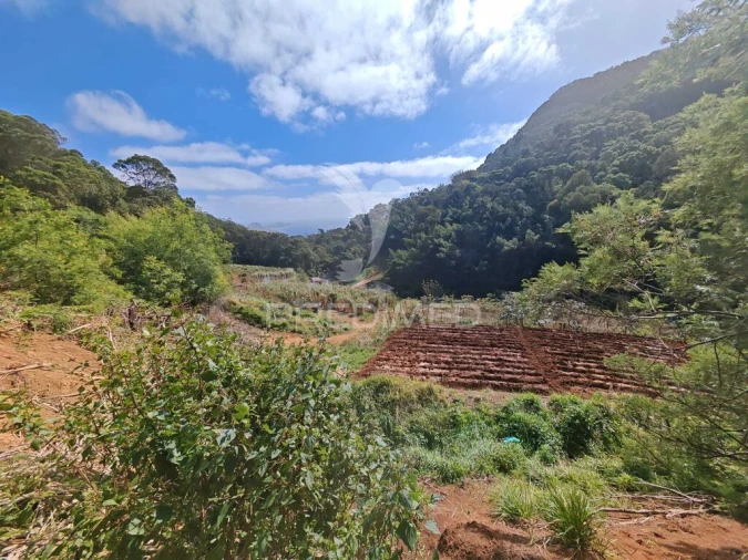 Terreno para Venda em Caniçal Foto 4