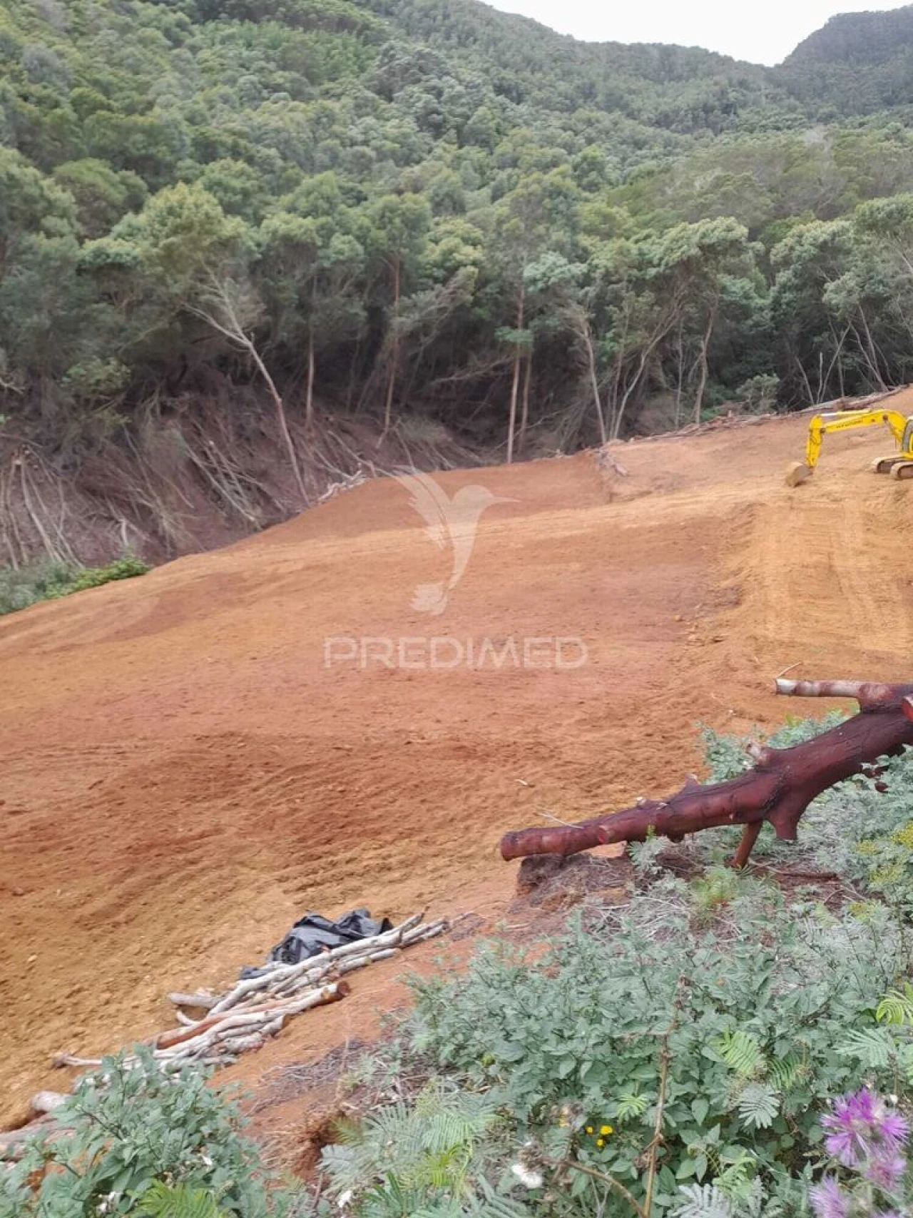Terreno para Venda em Caniçal Foto 14