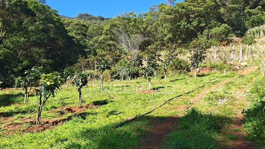 Terreno para Venda em Caniçal