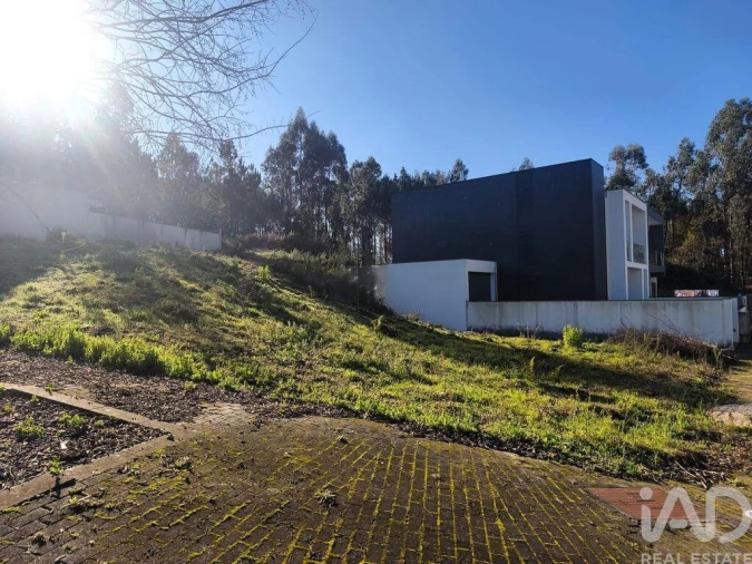 Terreno para Venda em Forjães Foto 5