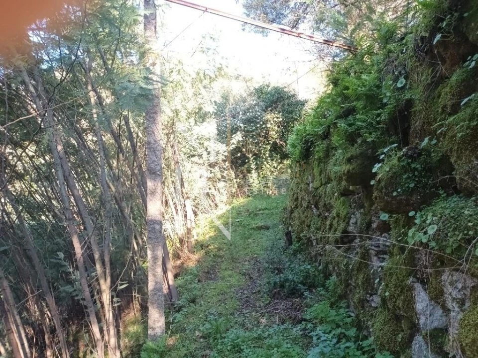 Moradia T3 para Venda em Lufrei Foto 17