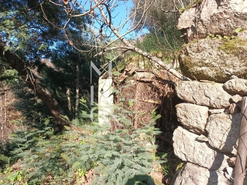 Moradia T3 para Venda em Lufrei Foto 16