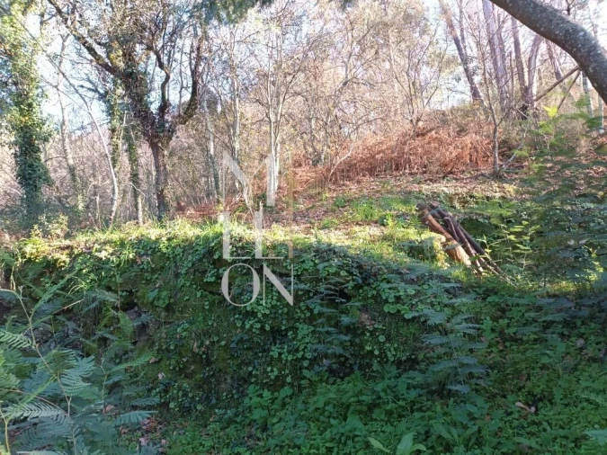 Moradia T3 para Venda em Lufrei Foto 20