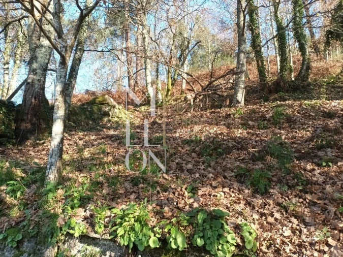 Moradia T3 para Venda em Lufrei Foto 9