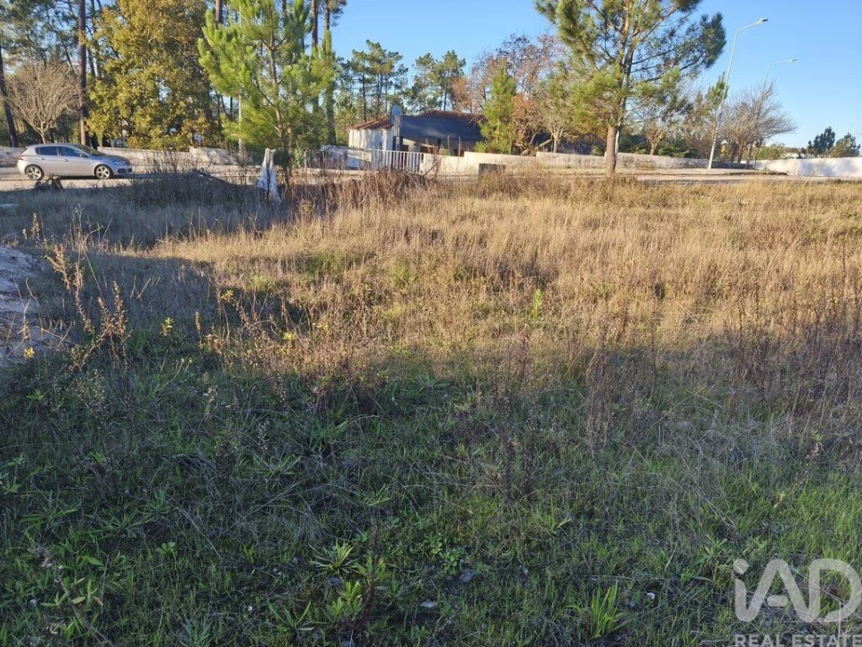 Terreno para Venda em Ansião Foto 7