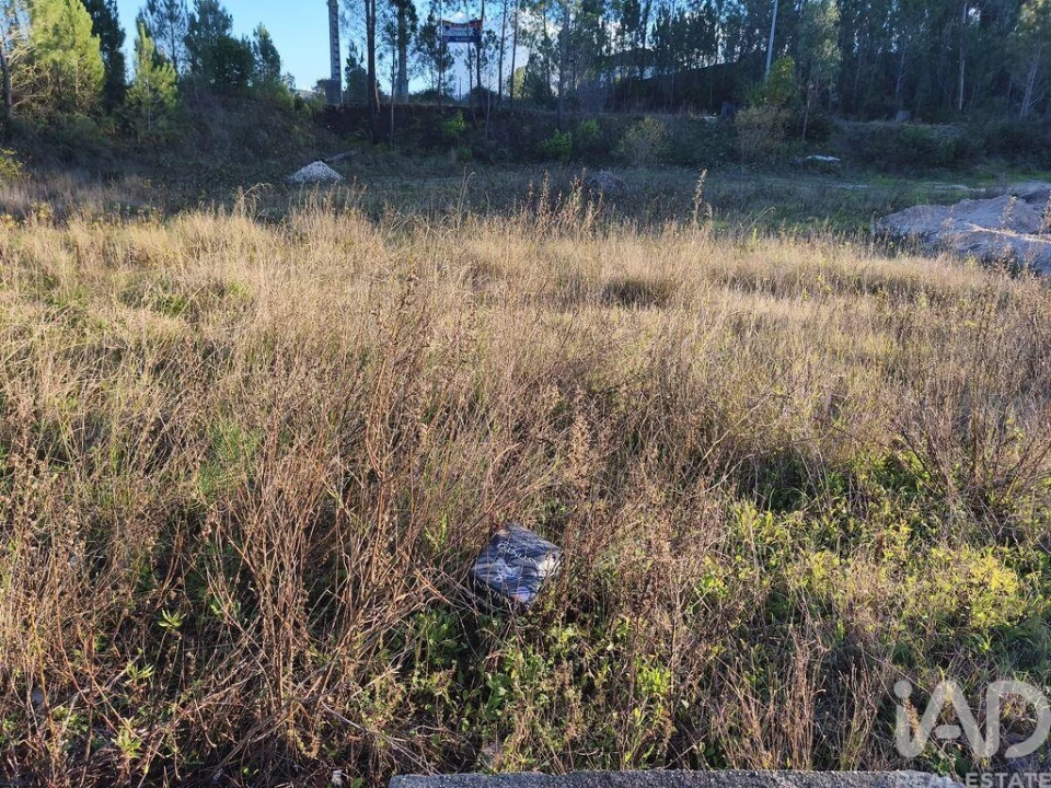 Terreno para Venda em Ansião Foto 2