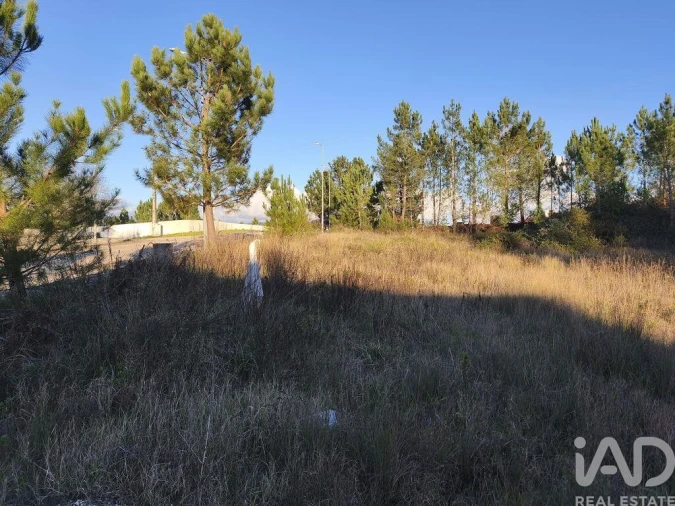 Terreno para Venda em Ansião Foto 5