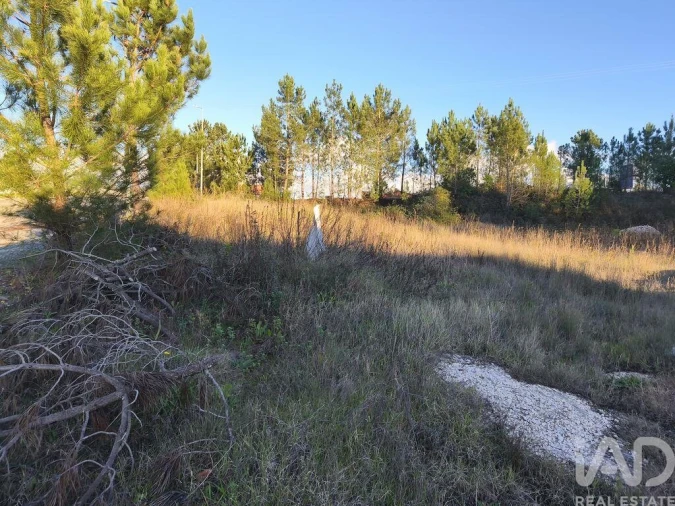 Terreno para Venda em Ansião Foto 8