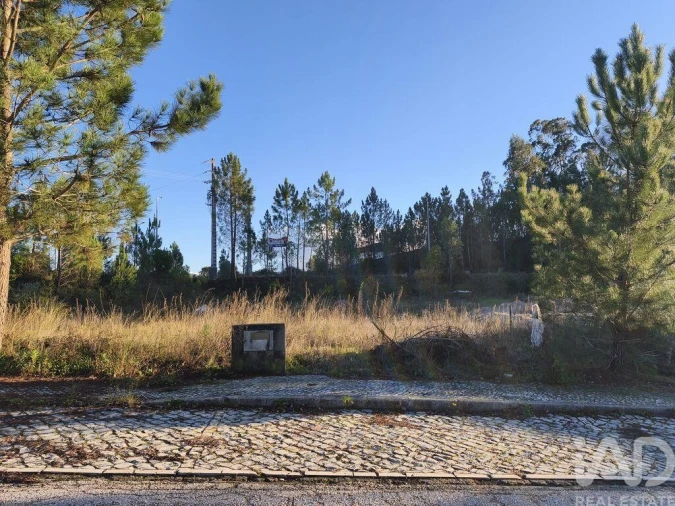 Terreno para Venda em Ansião Foto 9