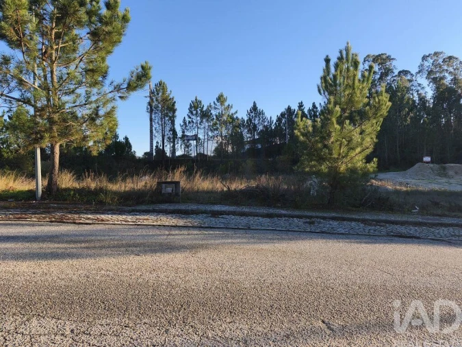 Terreno para Venda em Ansião Foto 12