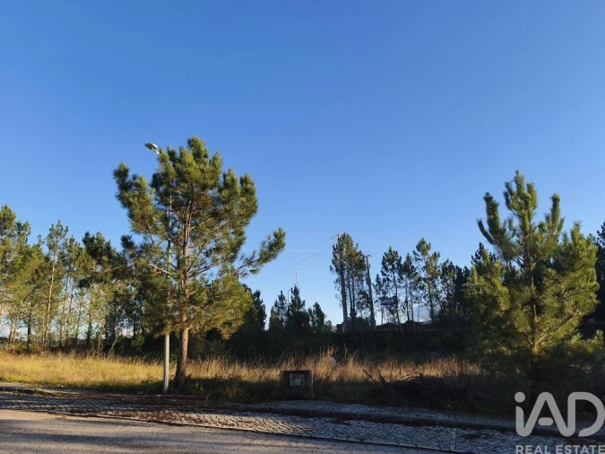 Terreno para Venda em Ansião Foto 13