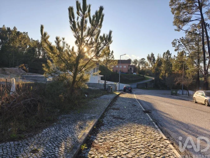 Terreno para Venda em Ansião Foto 4