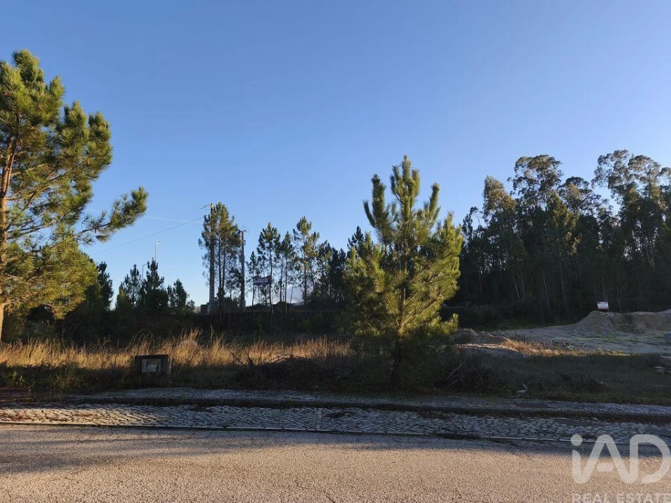 Terreno para Venda em Ansião Foto 1