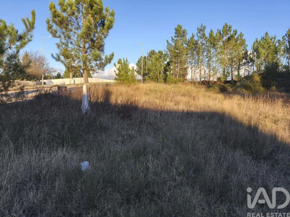 Terreno para Venda em Ansião Foto 6