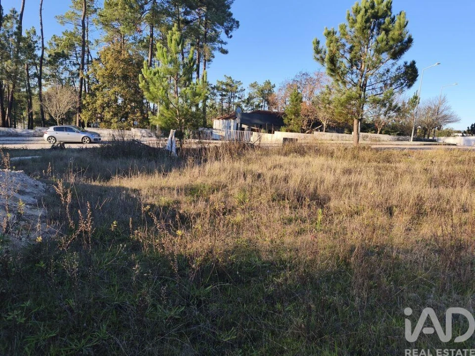 Terreno para Venda em Ansião Foto 11