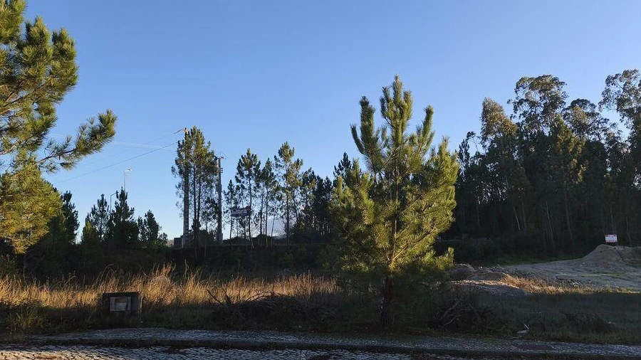 Terreno para Venda em Ansião