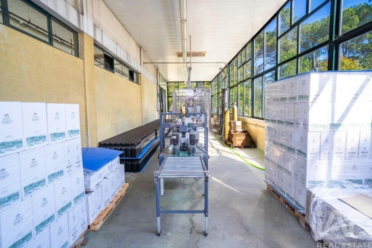 Quinta T8 para Venda em Manhente Foto 10