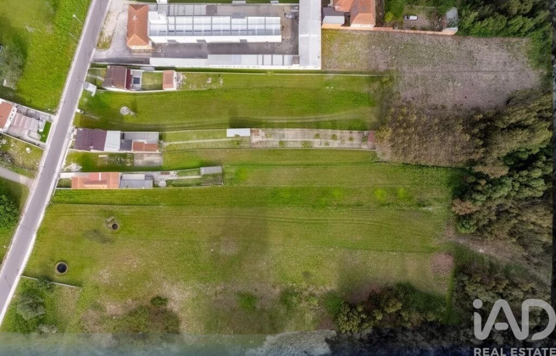 Terreno para Venda em Bunheiro Foto 3