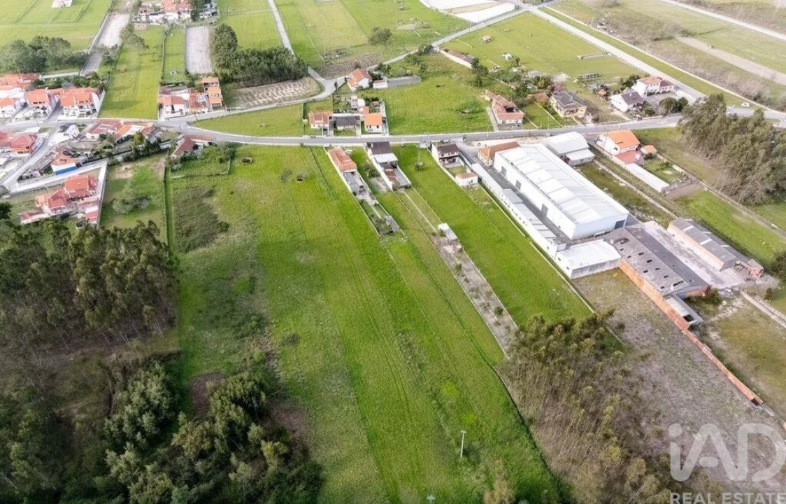 Terreno para Venda em Bunheiro Foto 2