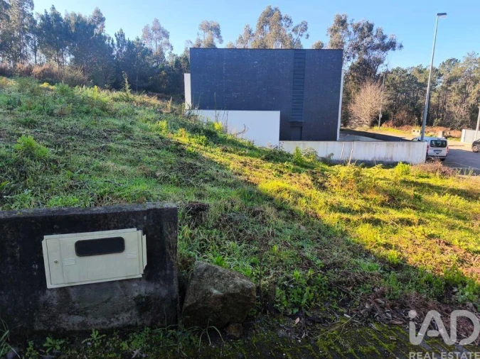 Terreno para Venda em Forjães Foto 6