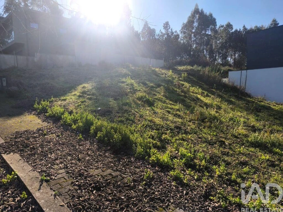 Terreno para Venda em Forjães Foto 2