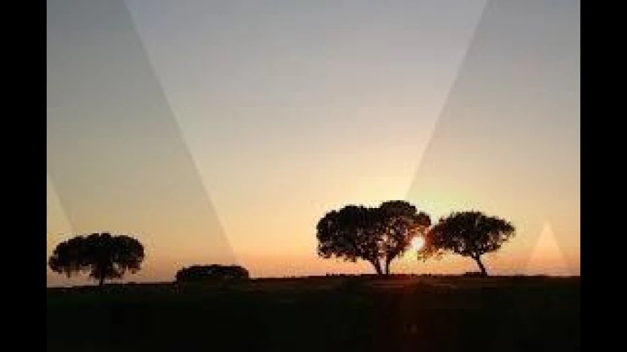 Terreno para Venda em Chancelaria