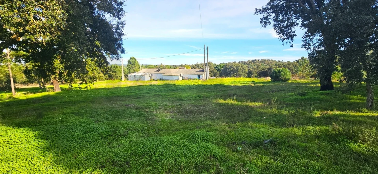 Quinta T4 para Venda em Melides Foto 5