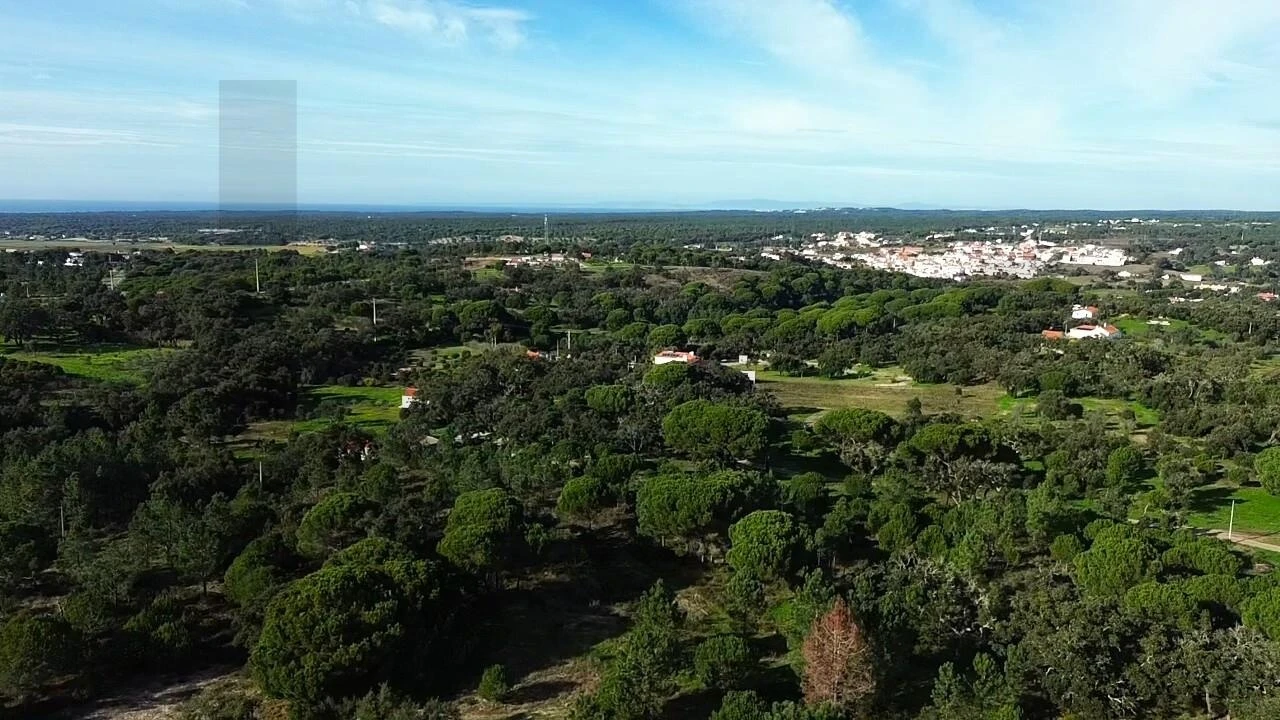 Quinta T4 para Venda em Melides Foto 19