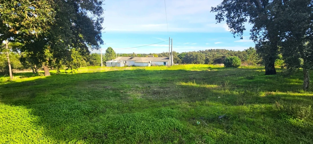 Quinta T4 para Venda em Melides Foto 5