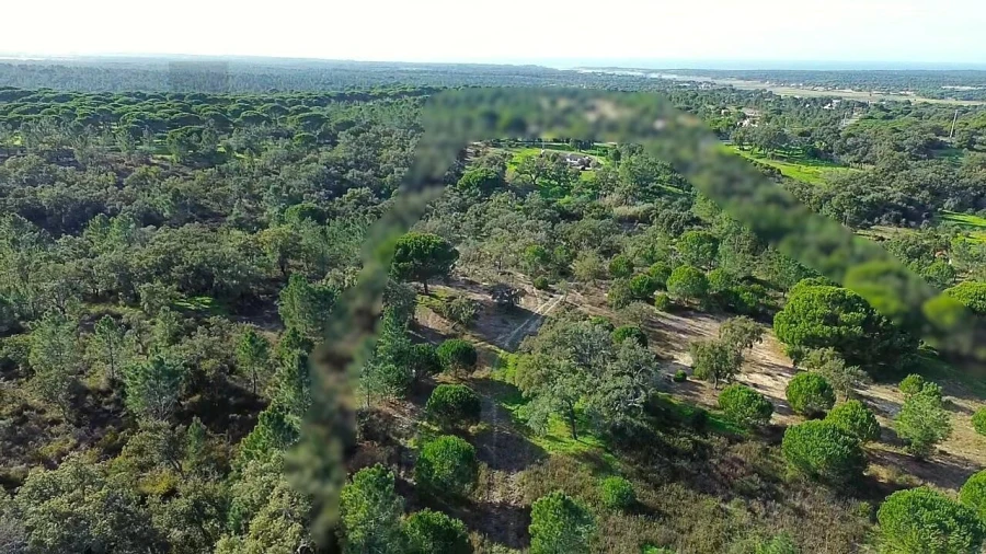 Quinta T4 para Venda em Melides Foto 20