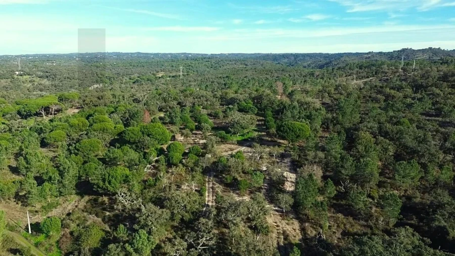 Quinta T4 para Venda em Melides Foto 17