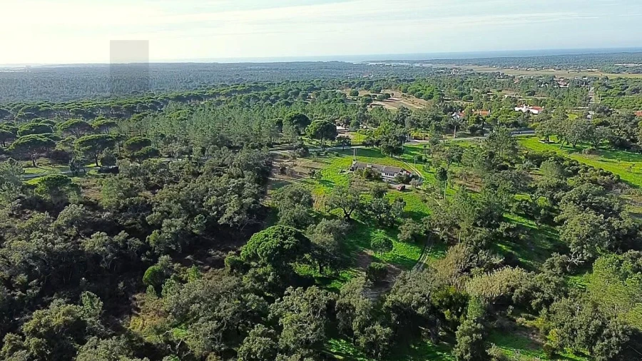 Quinta T4 para Venda em Melides Foto 21