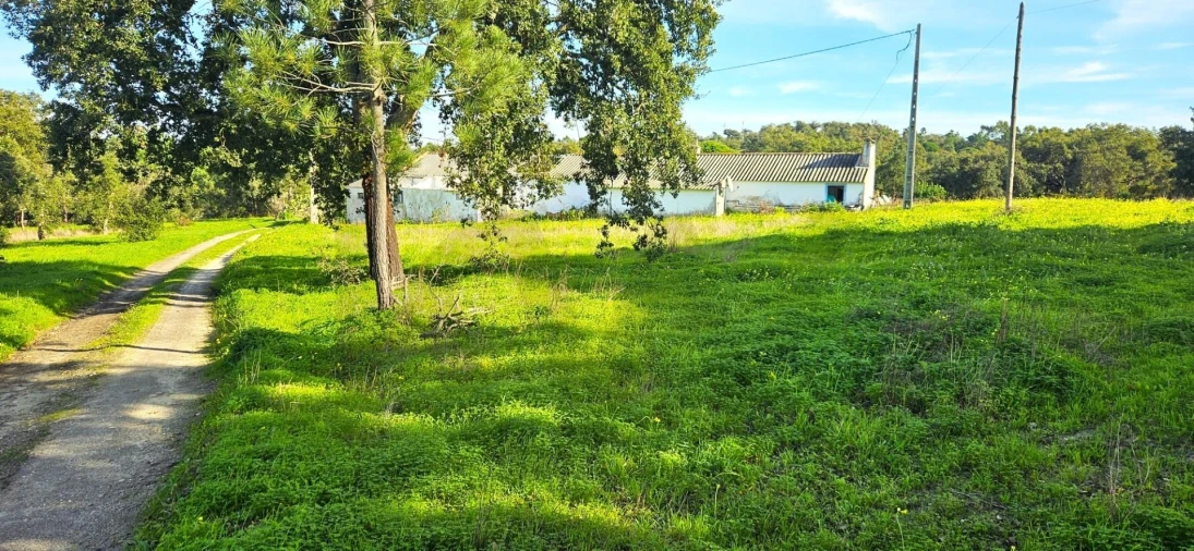 Quinta T4 para Venda em Melides Foto 3