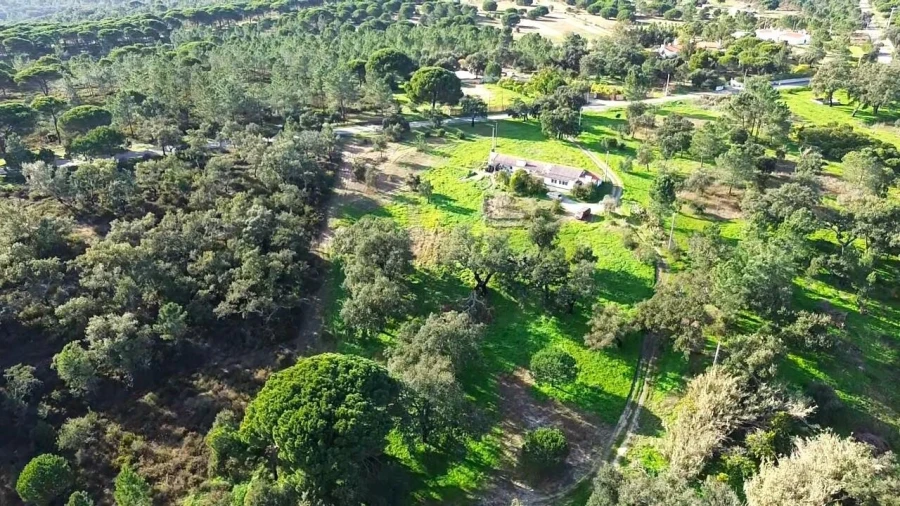 Quinta T4 para Venda em Melides Foto 22