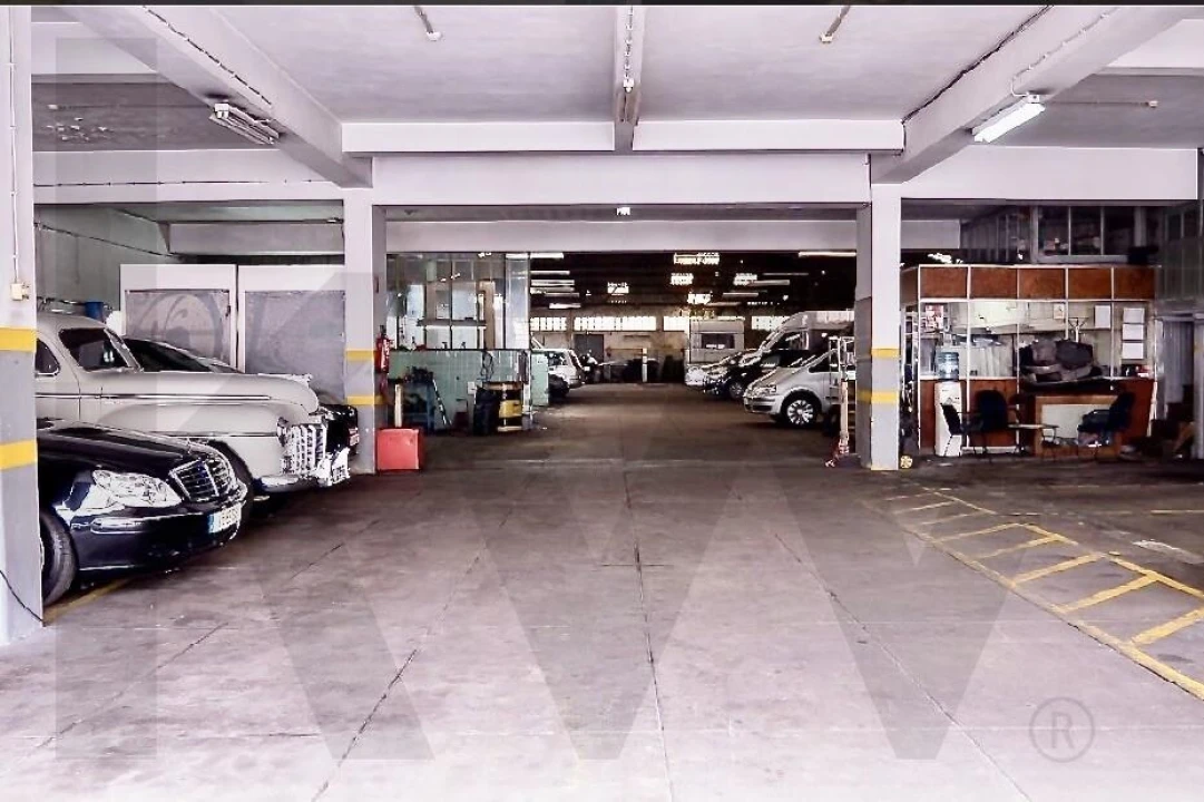 Armazém para Venda em Paranhos Foto 6