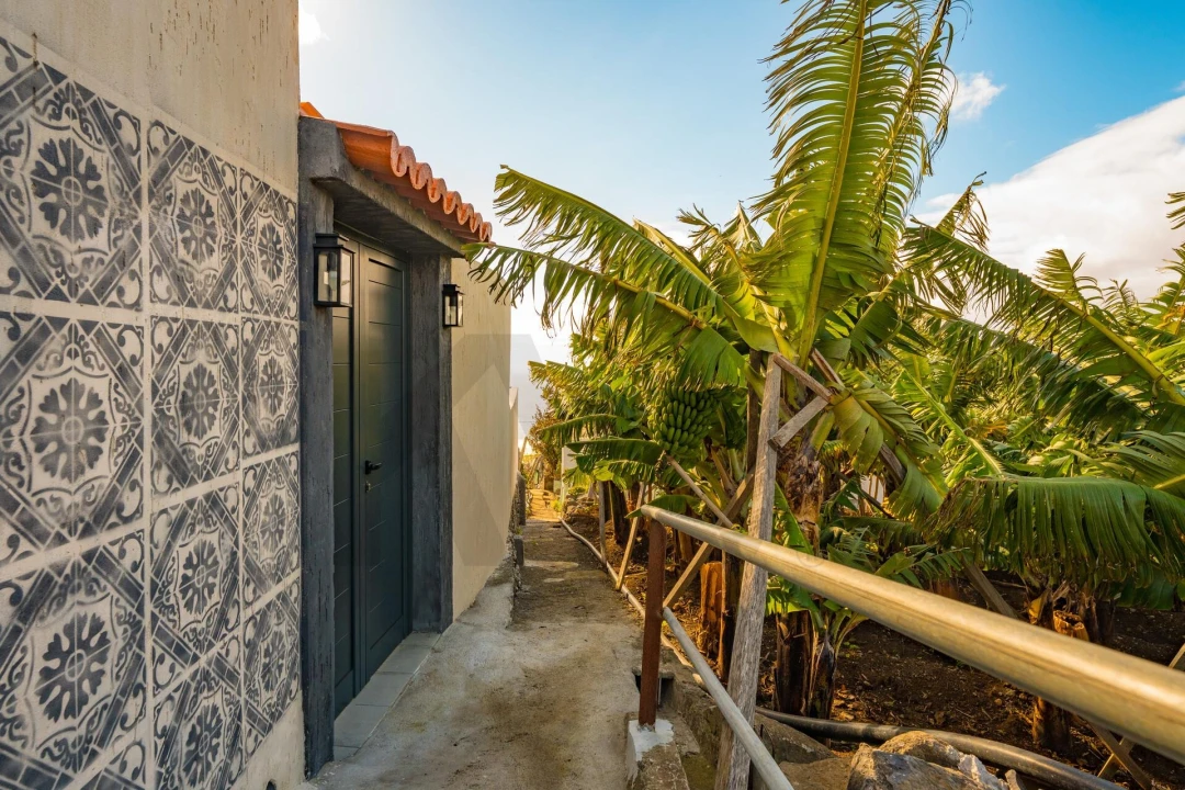 Moradia T2 para Venda em Estreito da Calheta Foto 67